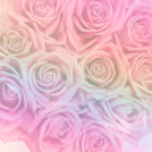 Meet your Posher, Chloe